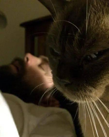 猫猫永不为奴娱乐吃瓜酱,揭秘娱乐圈幕后趣闻